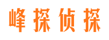 高安情人调查